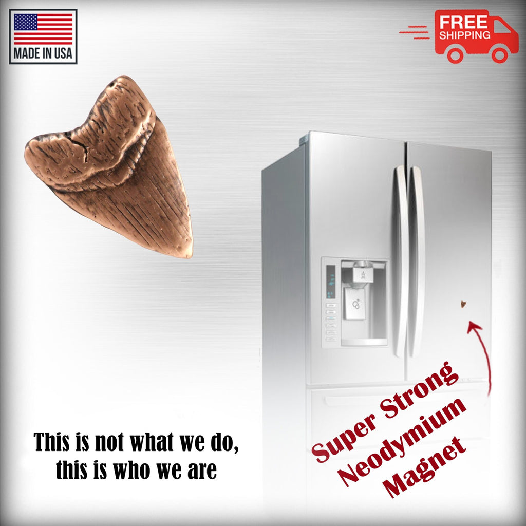 Prehistoric Shark Tooth Magnet S128
