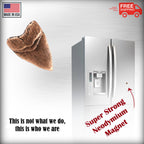 Prehistoric Shark Tooth Magnet S128