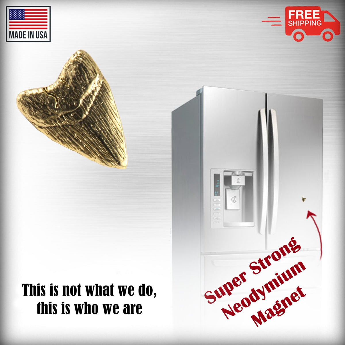 Prehistoric Shark Tooth Magnet S128