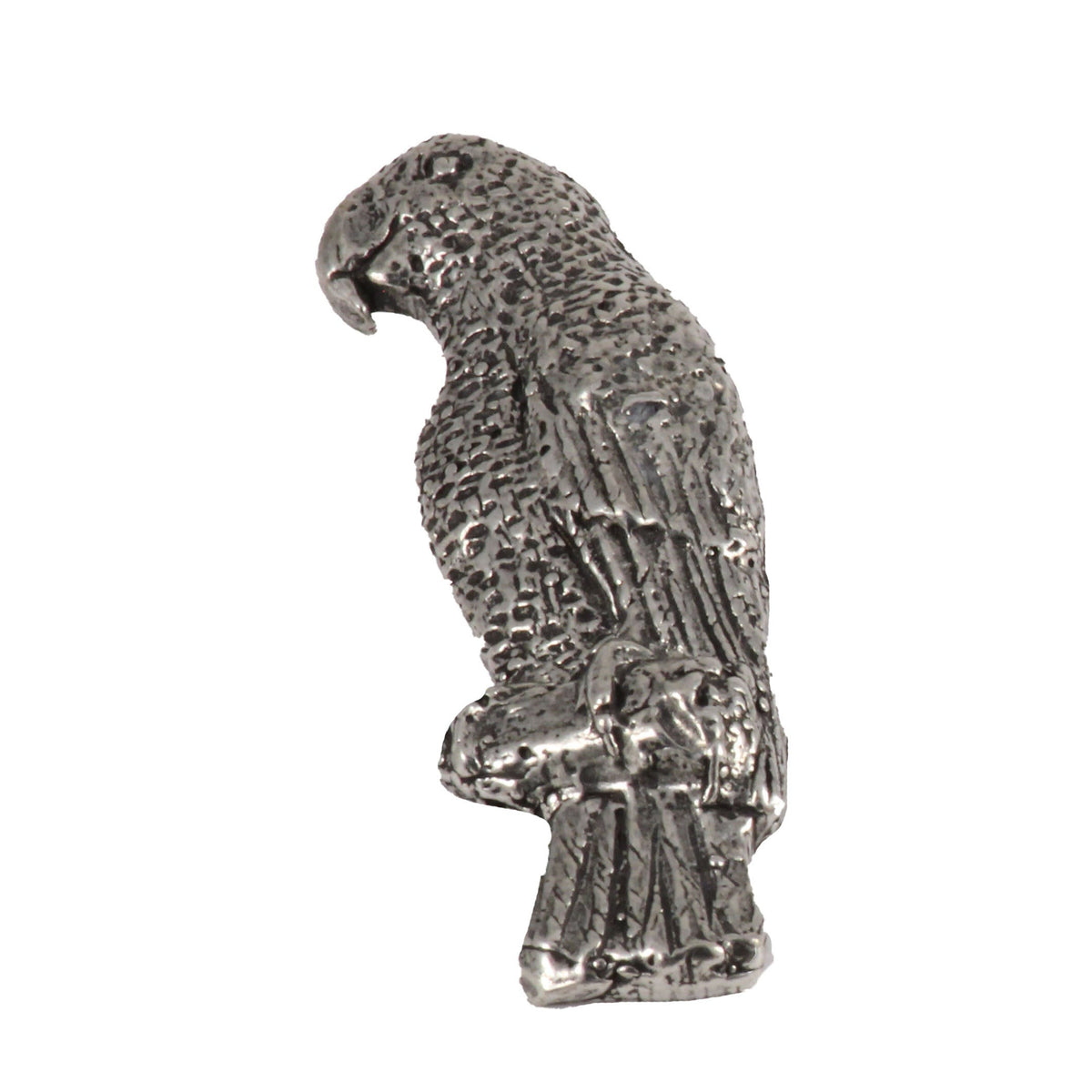 African Grey Parrot Magnet B097