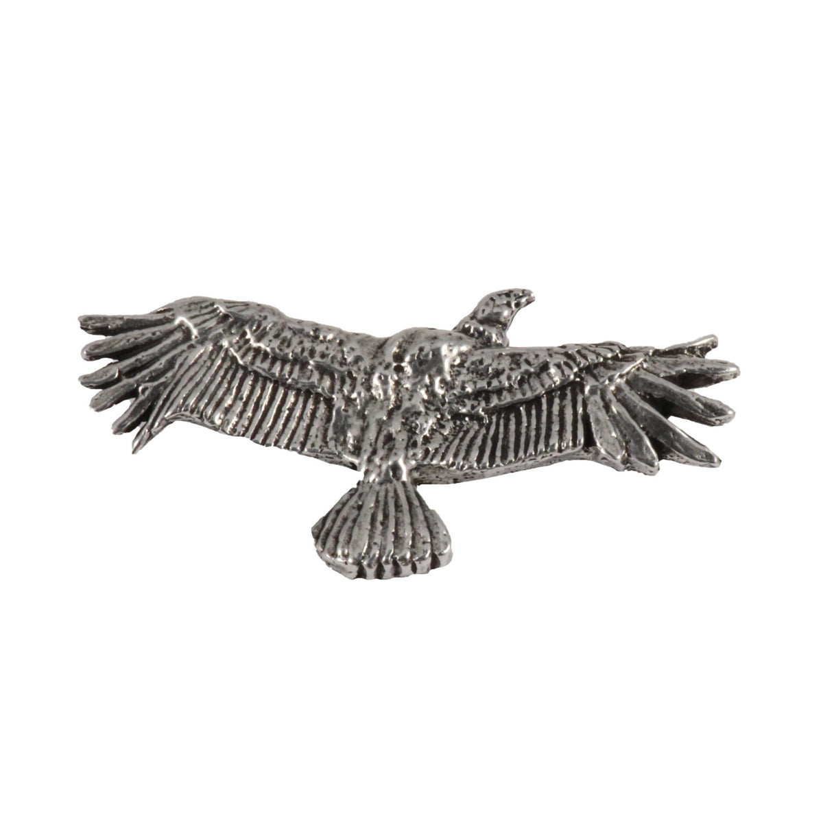 California Condor Magnet Magnet B092
