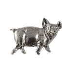 Domestic Pig Magnet M192