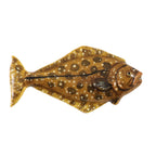 Halibut Small Pin S061
