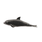 Pacific Whitesided Dolphin Pin M064