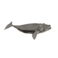 Right Whale Pin M082