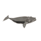 Right Whale Pin M082