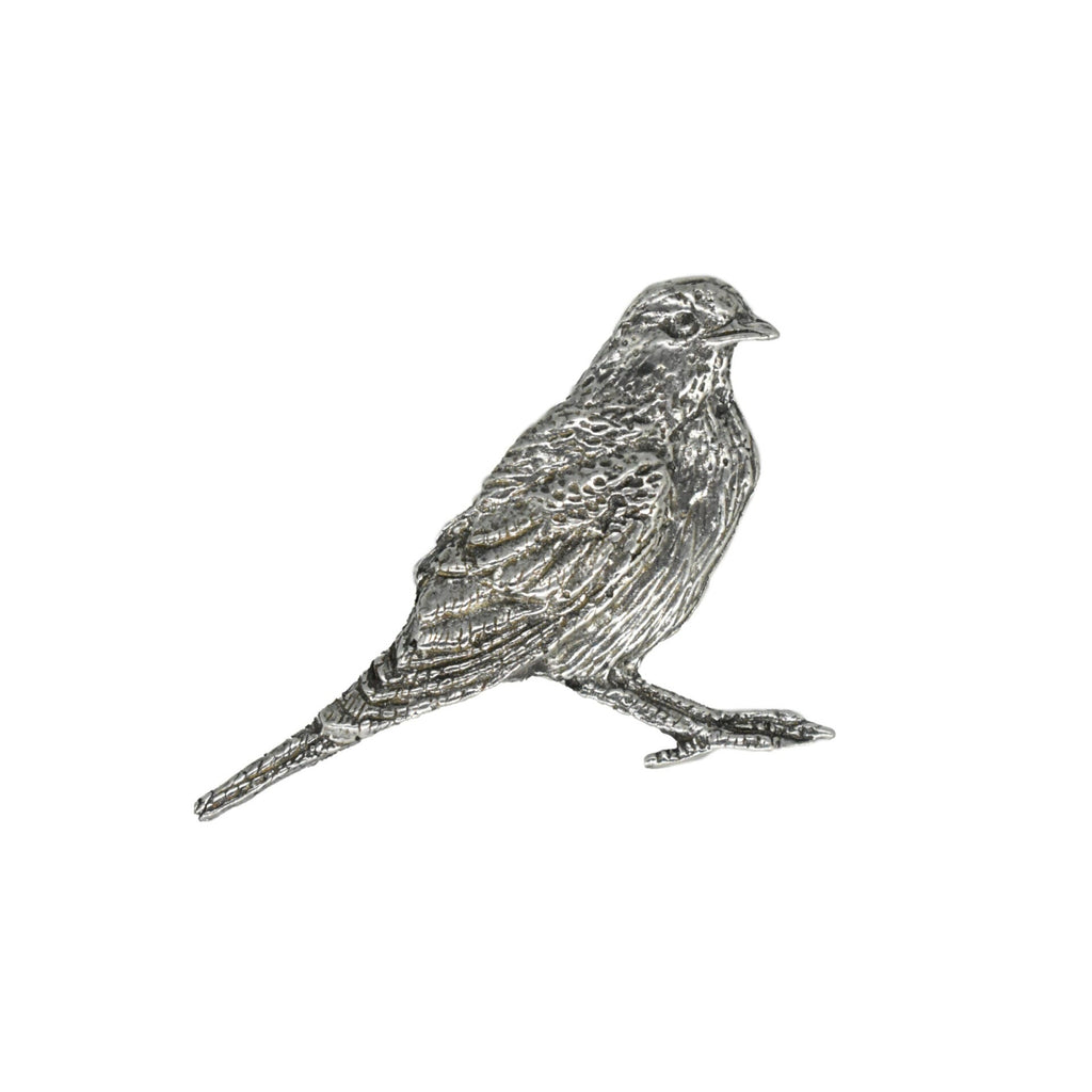 Robin Pin B107