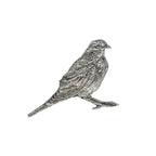 Robin Pin B107