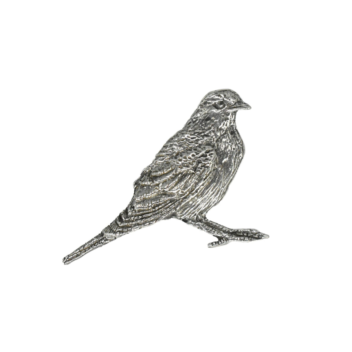 Robin Pin B107
