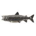 Splake Trout Magnet F019