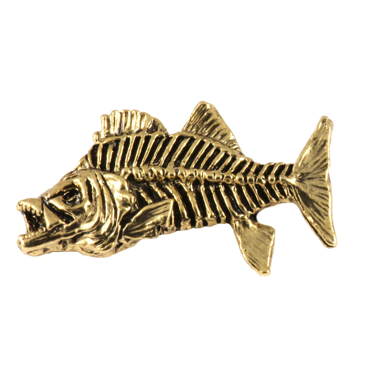 Striped Bass Skeleton Fish Pin S146