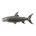 Tigerfish Magnet F099