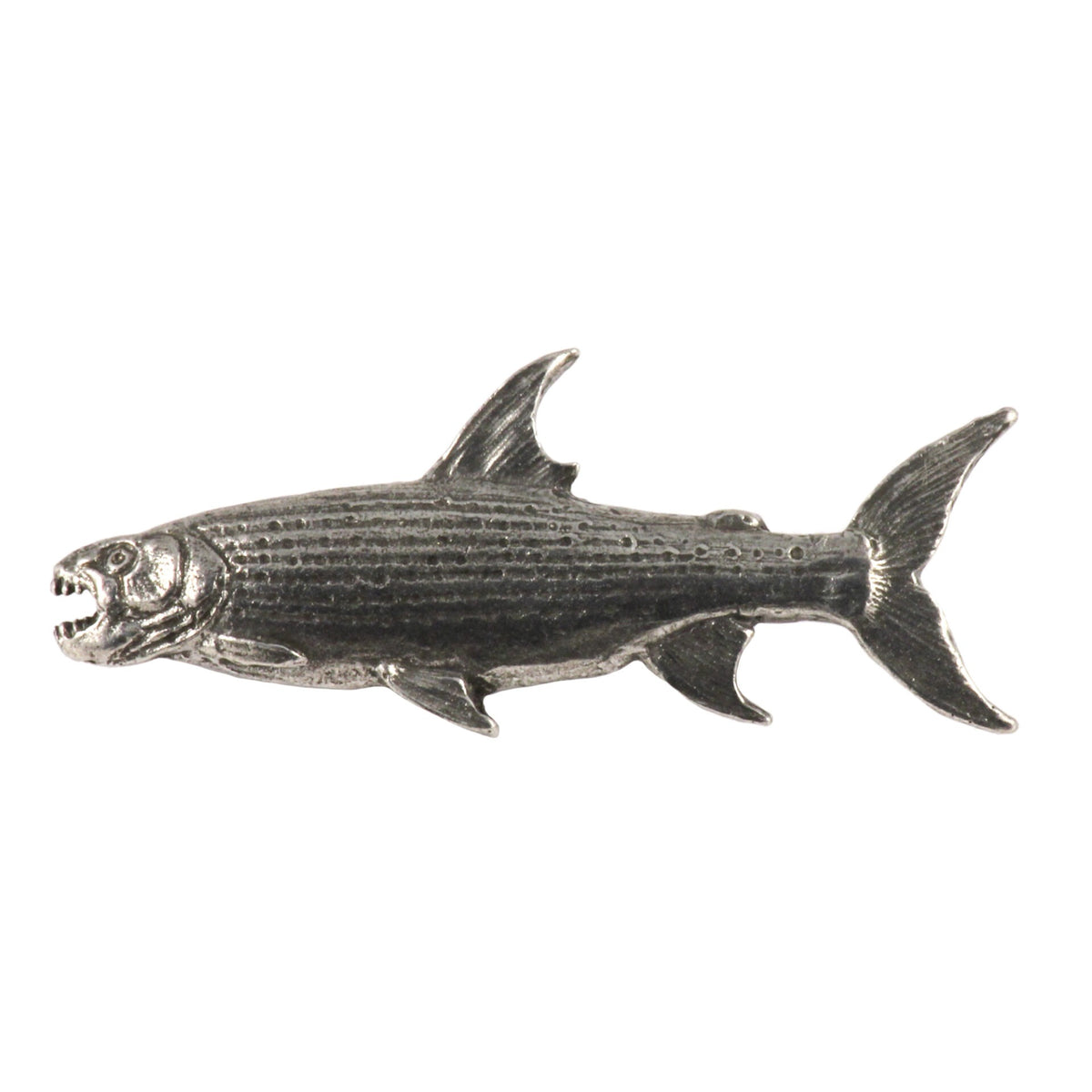 Tigerfish Magnet F099