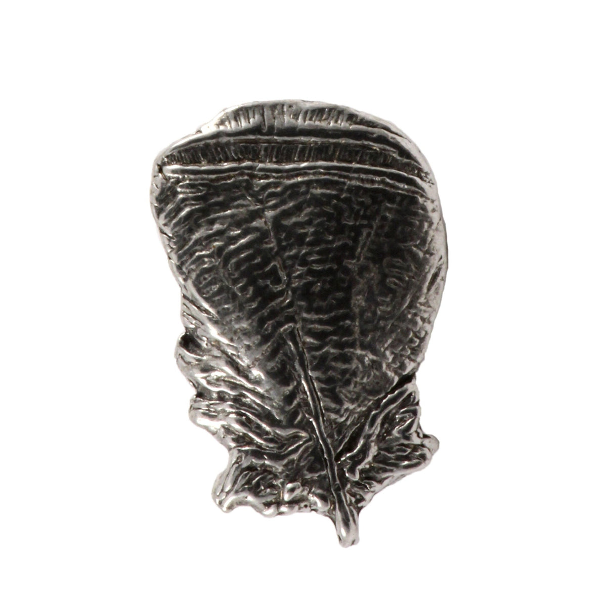 Wood Duck Feather Pin B009