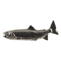 Yamame Trout Magnet F100